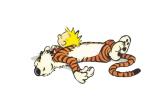 Calvin and Hobbes