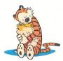 Calvin and Hobbes